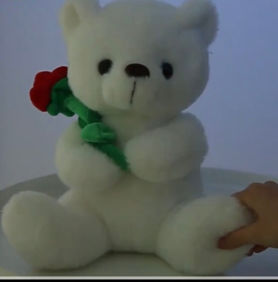 Valentine day plush